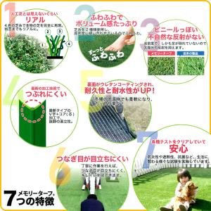人工芝 ロール 1mx10m 10平米 芝丈 ...の詳細画像5