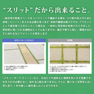 人工芝 ロール 巾 75mm×5m 芝丈 28...の詳細画像2