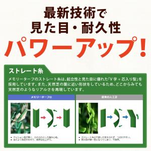 人工芝 ロール 巾 75mm×5m 芝丈 28...の詳細画像4