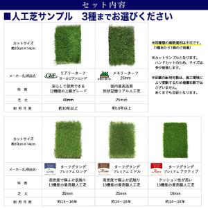 [人工芝選べる3種サンプル] 人工芝リアリータ...の詳細画像1