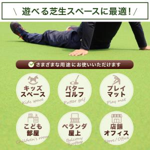 人工芝 ロール 2m×10m 芝丈 16mm ...の詳細画像2