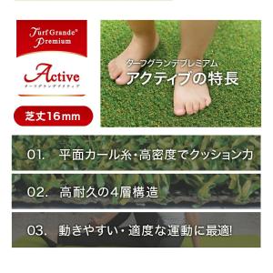 人工芝 ロール 2m×10m 芝丈 16mm ...の詳細画像4