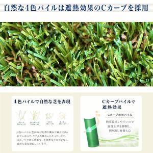 人工芝 ロール ピン 付 1m×10m 芝丈 ...の詳細画像5
