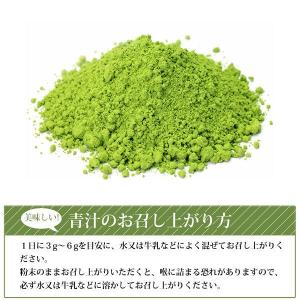 有機栽培 大麦若葉青汁 100g 国産(大分産...の詳細画像1