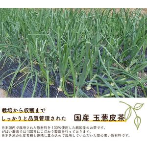 玉葱皮茶 2g×40包 国産(兵庫県・香川県産...の詳細画像1