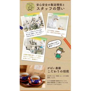玉葱皮茶 2g×40包 国産(兵庫県・香川県産...の詳細画像5
