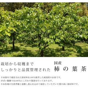 柿の葉茶 3g×40包 お得な3個セット 国産...の詳細画像2