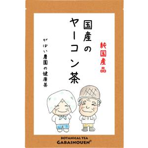 ヤーコン茶 3g×40包  国産（長野県産） 残留農薬・放射能検査済※ヤマト運輸直送の為キャンセル不可※【やーこん茶/お茶/健康茶/ノンカフェイン/無添加】