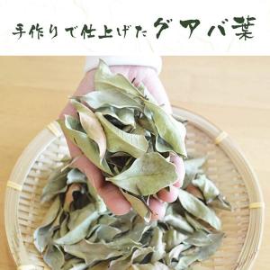 有機栽培 グァバ茶 2g×40包 国産(鹿児島...の詳細画像2