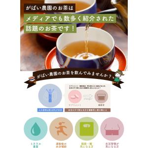 有機栽培 ごぼう茶 国産 宮崎県産 2g×40...の詳細画像4