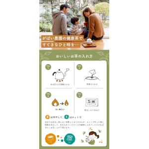 有機栽培 ごぼう茶 国産 宮崎県産 2g×40...の詳細画像5