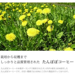 たんぽぽコーヒー 2g×40包 お得な3個セッ...の詳細画像1
