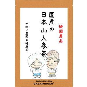日本山人参茶 2g×30包  国産（宮崎県産）栽培期間中農薬不使用 残留農薬・放射能検査済【ヒュウガトウキ茶/お茶/ノンカフェイン/健康茶/無添加/葉/茎】