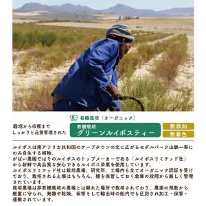 オーガニック グリーンルイボスティー がばい農...の詳細画像1