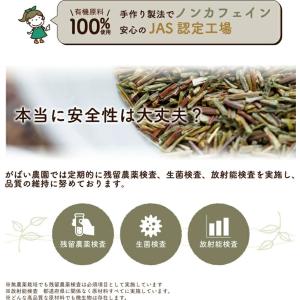 オーガニック グリーンルイボスティー がばい農...の詳細画像2