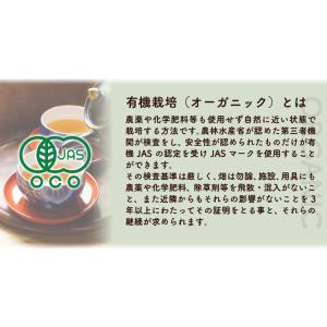 有機栽培 よもぎ茶 3g×10包 残留農薬・放...の詳細画像2