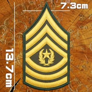 刺繍ミリタリーワッペン【統合打撃戦闘機 ステルス戦闘機F-35