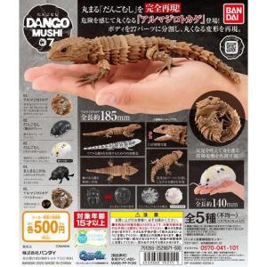 ☆定形外☆  だんごむし０７ だんごむしとアルマジロトカゲ