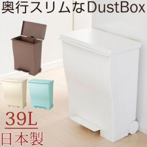 ゴミ箱 39リットル 分別 キッチン ペダル式 プッシュペダル ふた付き 蓋あり 省スペース スリム｜gachinko