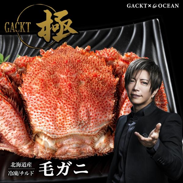 北海道産 毛ガニ 650g 800g 1kg 1尾入※チルド終了につき、冷凍のみの受付