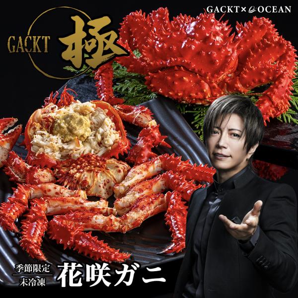 北海道 根室産 花咲ガニ ※チルド終了につき、冷凍のみの受付