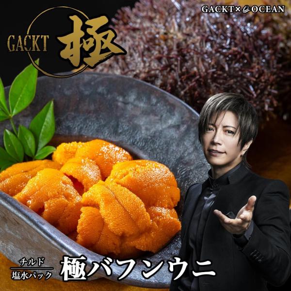 【予約注文】 極バフンウニ 塩水パック 100g ※チルド配送 2026年1月半ば以降順次発送となり...