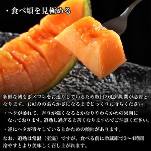 【2026年度予約開始】 北海道産 富良野メロ...の詳細画像3
