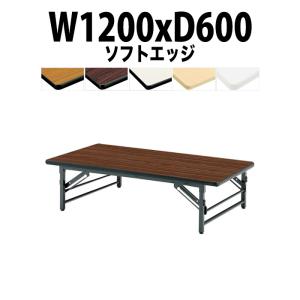 藤沢工業 長机 折りたたみ 座卓兼用 会議用テーブル 和室 畳 TK-1860