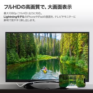 LENZZA レンツァ Apple MFi認証...の詳細画像1