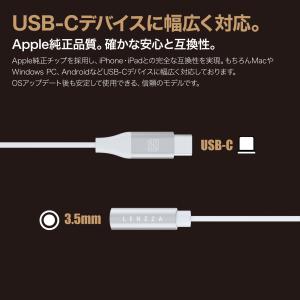 LENZZA レンツァ USB-C - 3.5...の詳細画像4