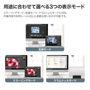 LENZZA レンツァ USB-C - HDM...の詳細画像3