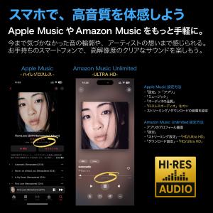 イヤホン 有線 USB-C Type-C マイ...の詳細画像2