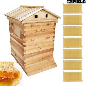 蜜蜂巣箱 ミツバチ巣箱 養蜂箱 巣箱 蜂箱 フローハイブ養蜂セット 蜜蜂飼育箱 蜂の巣 ミツバチ飼育箱 ミツバチ養殖 ミツバチの採蜜 巣礎 巣脾 自動ハチミツ採取