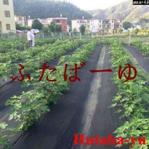 防草シート 1m×100m 農用シート UV剤...の詳細画像2