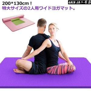 ピラティス界の待望の逸品 ピラティス脊椎矯正バレル(くじら型