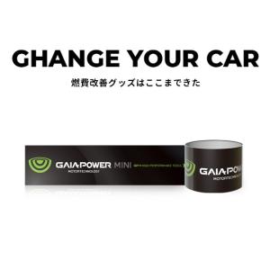 車のトルクアップ・燃費向上グッズ『ガイアパワー・ミニ（GAIAPOWER MINI）』