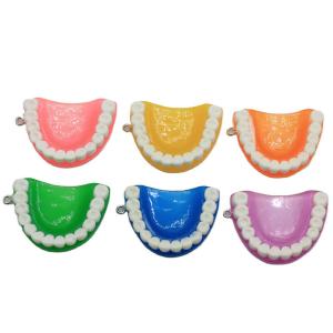 歯のチャーム 6色あり 1個売りの商品画像
