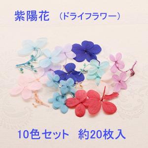 紫陽花　10色セット　約20枚入り 紫陽花 ドライフラワー