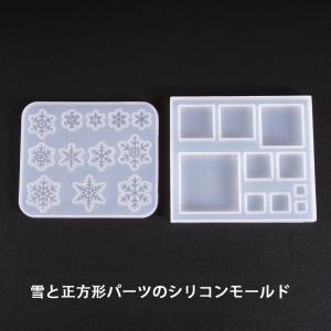 当日翌日 シリコンモールド　1個