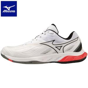 楽天市場】送料無料 ミズノ バドミントンシューズ 3E相当 メンズ