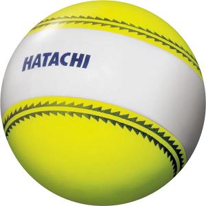 ◆◆ ＜ハタチ＞ HATACHI ナビゲーションボール BH3851 (45) グラウンドゴルフボール｜gainabazar