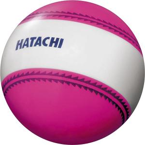 ◆◆ ＜ハタチ＞ HATACHI ナビゲーションボール BH3851 (64) グラウンドゴルフボール｜gainabazar