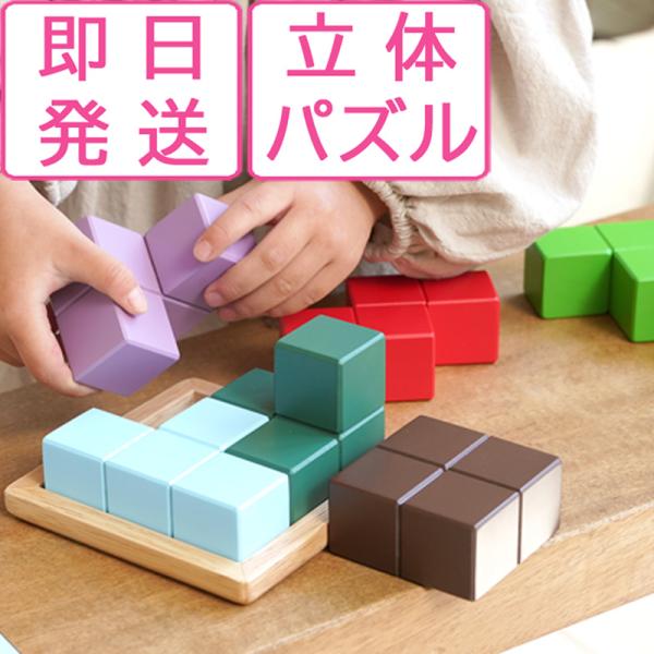 ラッピング無料 賢人パズル エドインター 立体パズル 積み木 木のおもちゃ 知育玩具 1歳 2歳 3...