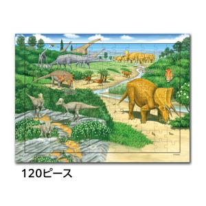 おもちゃ 知育 玩具 パズル はっけんパズル ...の詳細画像3