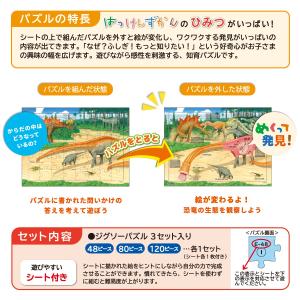 おもちゃ 知育 玩具 パズル はっけんパズル ...の詳細画像5