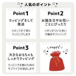学研 公式 ギフトラッピングサービス(有料)ラ...の詳細画像2