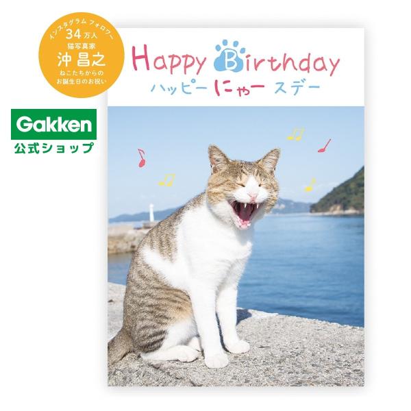 お誕生日 メッセージブック （ねこ） B10045