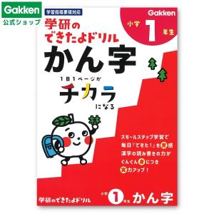 学研ステイフル 学研 公式 知能 テスト 5歳橙N04562 知育 幼児 教材