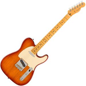 Fender American Professional II Telecaster, Maple Fingerboard, Sienna Sunburst〈フェンダーUSAテレキャスター〉｜gakki-de-genki