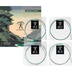 アヌエヌエ ソプラノウクレレ弦の買取情報